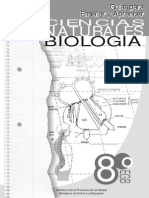 8biologia guias de 8°