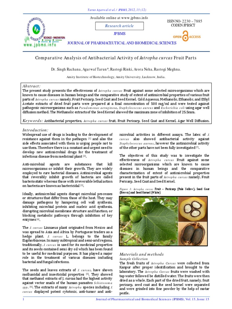 Antibacterial Activity of Jatropha curcas Fruit | PDF