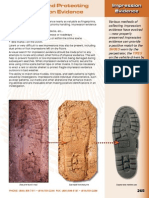 Impression Evidence PDF