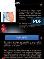Arritmias Cardiacas Andrea Osses (2) (1) + Respiratoria