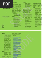 FOLDER APLASIA E ANEMIA HEMOLÍTICA