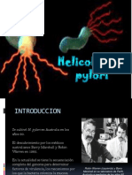 Helicobacter Pylori