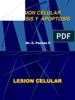 Lesion Celular