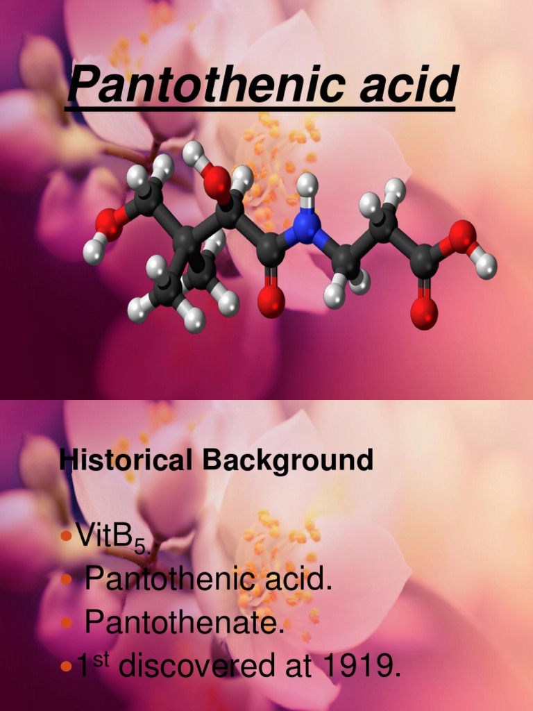 Pantothenic Acid Biosynthesis Metabolism Free 30day Trial Scribd