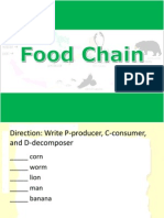 Food Chain Diagram Guide