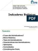 Minicurso Indicadores Biologicos Duarte