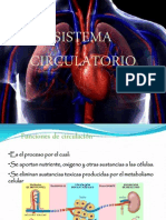 Sistema Circulatorio 3