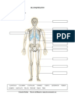 Humano04 PDF