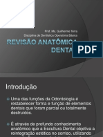 revisoanatmicadental-111115154853-phpapp01