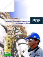 Instrumentacao Basica Petrobras