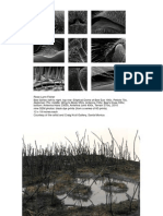 Unnatural Supplemental Slides