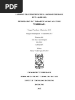 Download Laporan Praktikum Proyek Anatomi Fisiologi Hewan by Dwi Suci Candraningsih SN169900280 doc pdf