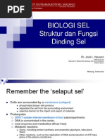 Download Struktur Dan Fungsi Dinding Sel by Atika Rachmania Lilo SN169928439 doc pdf