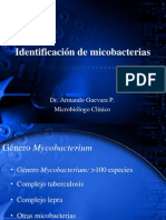 Identificacion de Micobacterias