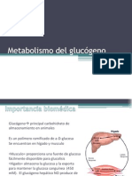 Metabolismo Del Glucógeno