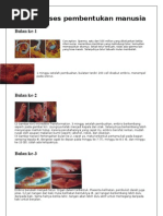 Download Inilah Proses Pembentukan Manusia by mallak cabi SN16994512 doc pdf
