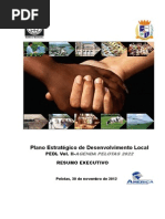 Resumo Executivo PEDL AGENDA PELOTAS 2022 Atualizado