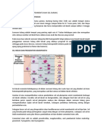 Fisiologi Hemopoiesis