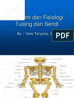 Anatomi Dan Fisiologi Tulang Dan Sendi