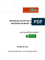 Analisis Cultivo Cacao Moxos