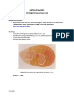 Metagonimiasis (Metagonimus Yokogawai) : Penyebaran Geografis