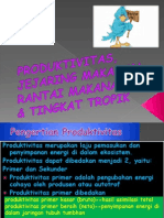 Produktivitas, Jejaring Makanan, Rantai Makanan, (4)