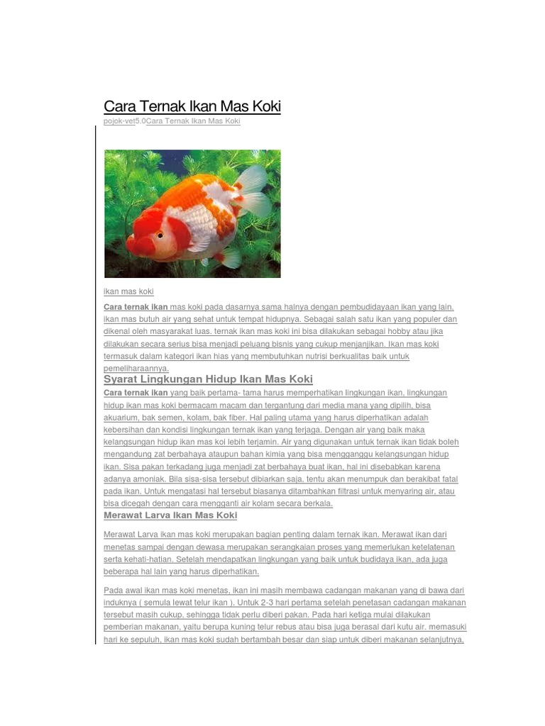 Cara Ternak Ikan Mas Koki
