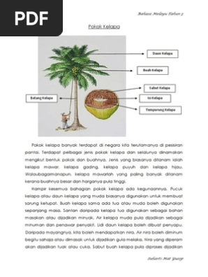 Pokok Kelapa  PDF