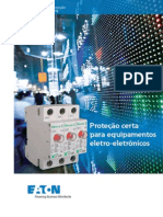 DPS.pdf