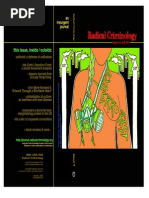 RadicalCriminology_2