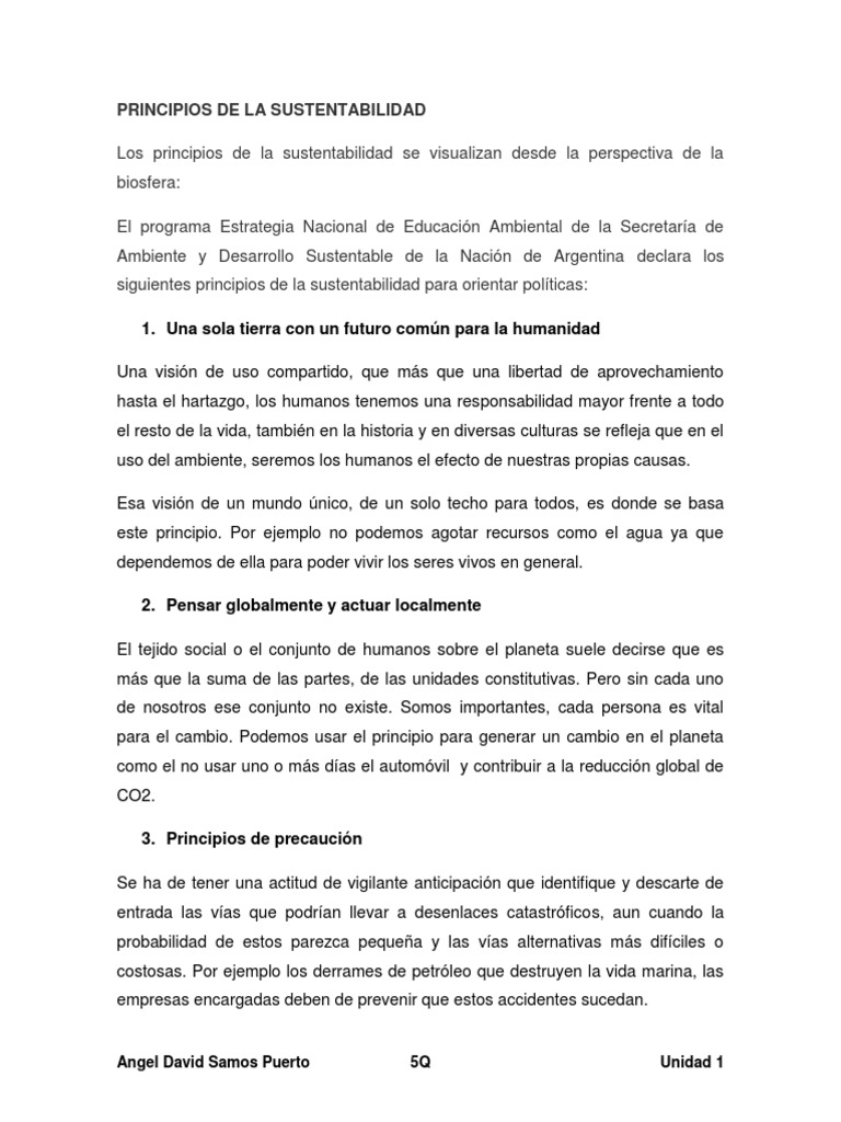 Principios de La Sustentabilidad | Descargar gratis PDF ...