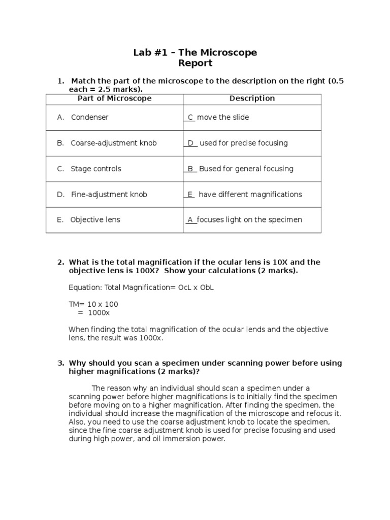Microscope Lab Report Laboratory Techniques Glass Engineering And