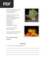 Fundo do mar - Isabel Pinheiro.pdf