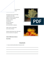 Fundo do mar - Isabel Pinheiro.pdf
