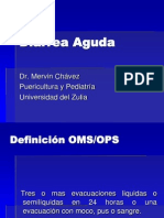 Tema 32. Diarrea Aguda TRO - Dr. Mervin Chavez