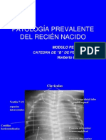 Patologías Prevalentes Del Recién Nacido