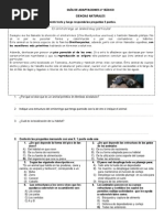 Ev 1 4ºB Adaptaciones y Estructuras