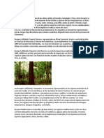 Bosques latifoliados: características y tipos