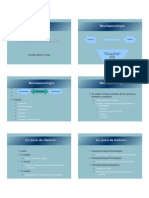 Neuropsicología Cognitiva 2011 6