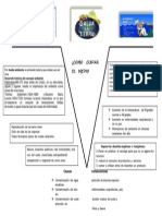 V Diagrama