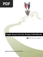 Eagle Scout Project Guide for Beneficiaries | PDF | Safety | Leadership