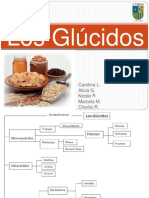 Los Glúcidos