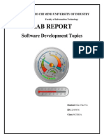 Lab Report: Software Development Topics