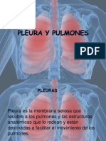 Expo Pulmon y Pleura
