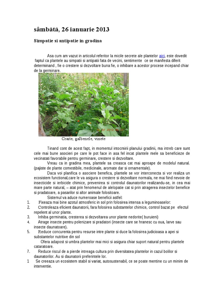 Simpatie Si Antipatie in Gradina | PDF