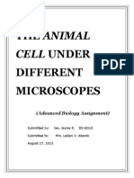 The Animal Cell Under Different Microscopes