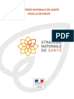 Stratégie Nationale de Santé, Feuille de Route