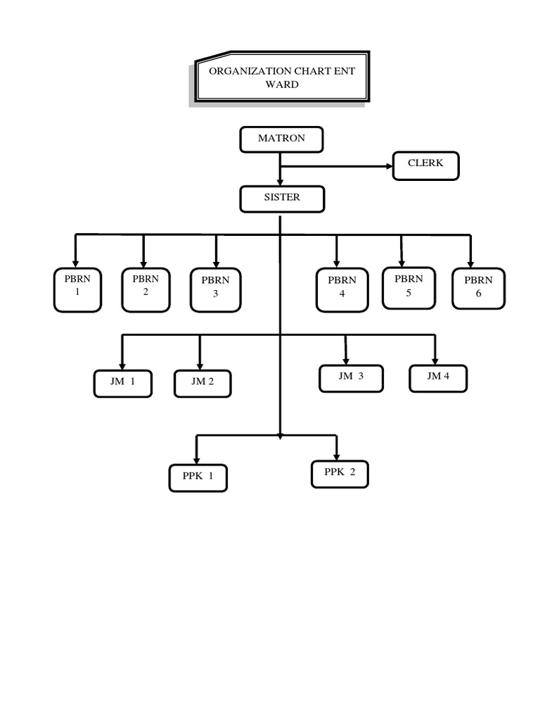 Organization Chart Ent Ward: PBRN 1 PBRN 2 | PDF