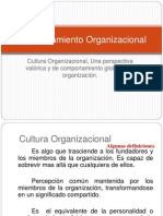 14 Cultura Organizacional