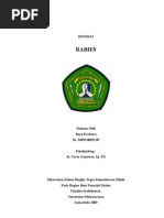 Download Rabies by Bayu Prabowo SN17026354 doc pdf